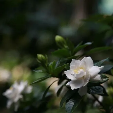 Appartement Limanaki Ss View