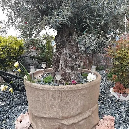 Limanaki Ss View Διαμέρισμα