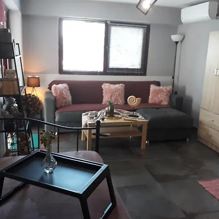 Διαμέρισμα Limanaki Ss View *