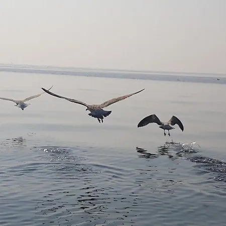 Διαμέρισμα Limanaki Ss View Καβάλα