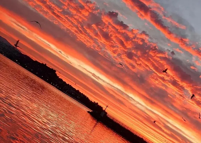 Limanaki Ss View 아파트 *