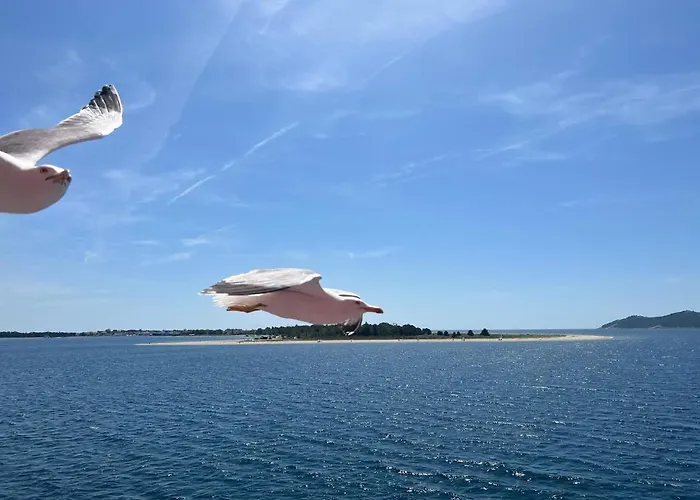 Limanaki Ss View * 카발라