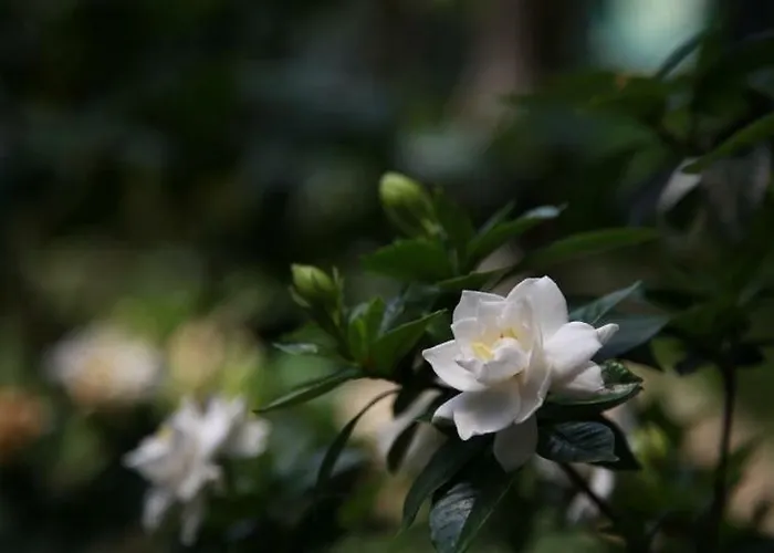 아파트 Limanaki Ss View