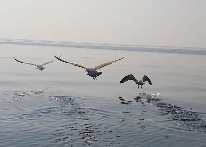 아파트 Limanaki Ss View 카발라