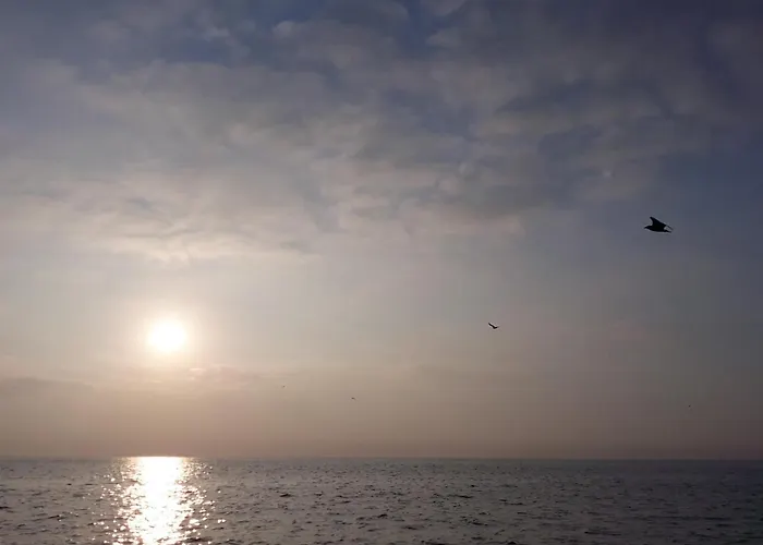 아파트 Limanaki Ss View *